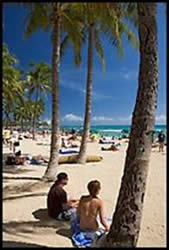 Couple under palm trees on Waikiki beach. Waikiki, Honolulu, Oahu island, Hawaii, USA ( color)